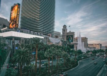 cars on road near buildings