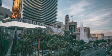 cars on road near buildings