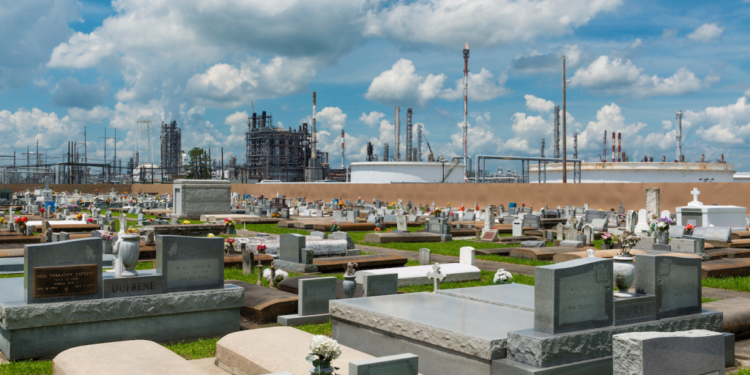 Shutterstock 1077548639.jpg