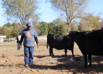 Trump cuts ends USDA efforts to curb discrimination against Black farmers