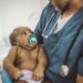 Scholars left out data in study finding black newborns do better with black doctors