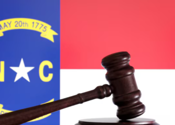 An illustration of the North Carolina state flag is shown in this image, taken on August 21, 2024. REUTERS/Dado Ruvic/Illustration.