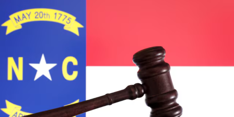 An illustration of the North Carolina state flag is shown in this image, taken on August 21, 2024. REUTERS/Dado Ruvic/Illustration.