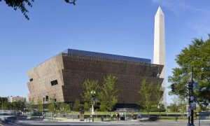 Leading civil rights groups unite to defend Black history, books, and art