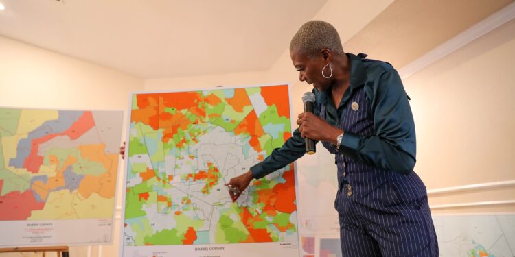 Who is Jolanda Jones, a member of the Texas House Committee on Redistricting